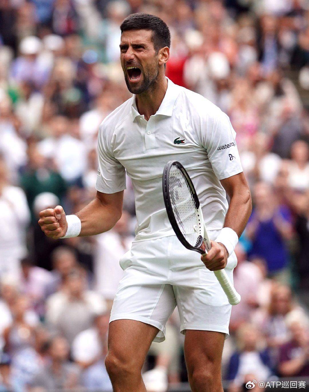 信息的真实 信息的真实